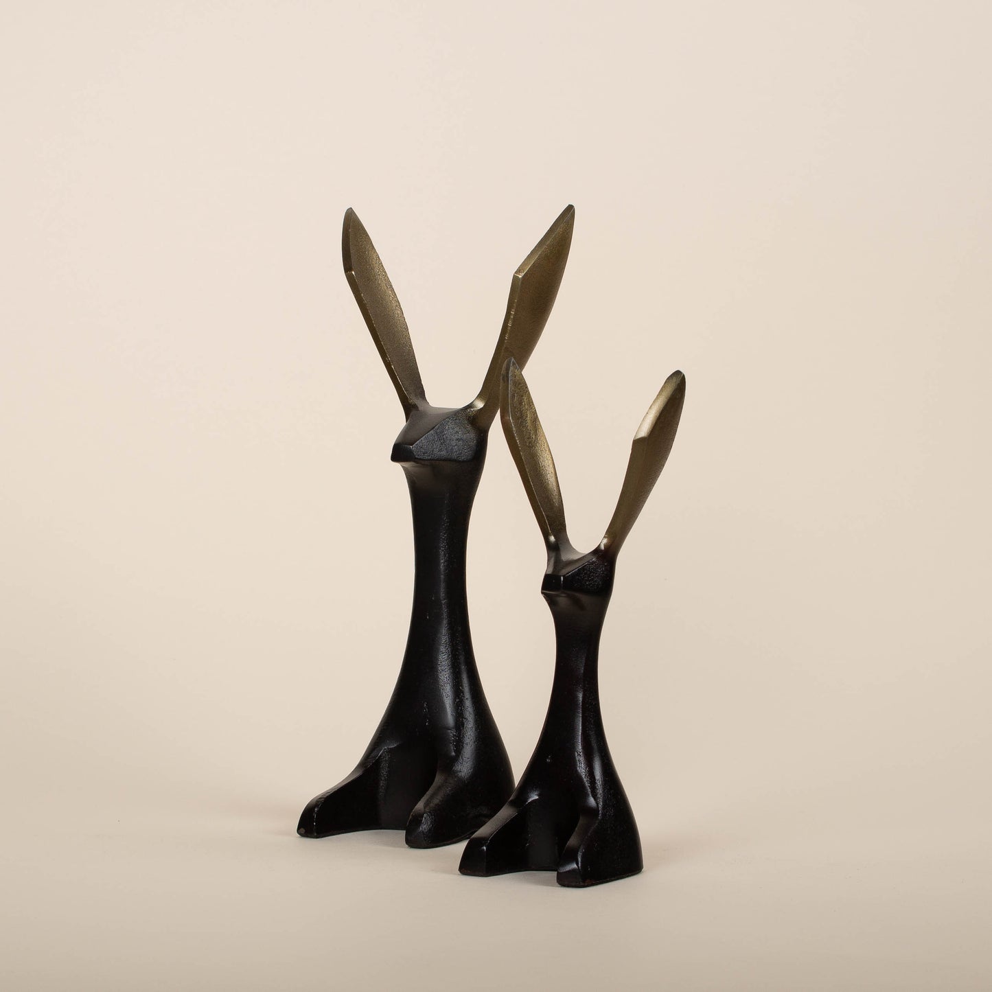 
                  
                    Jackrabbit - Small
                  
                