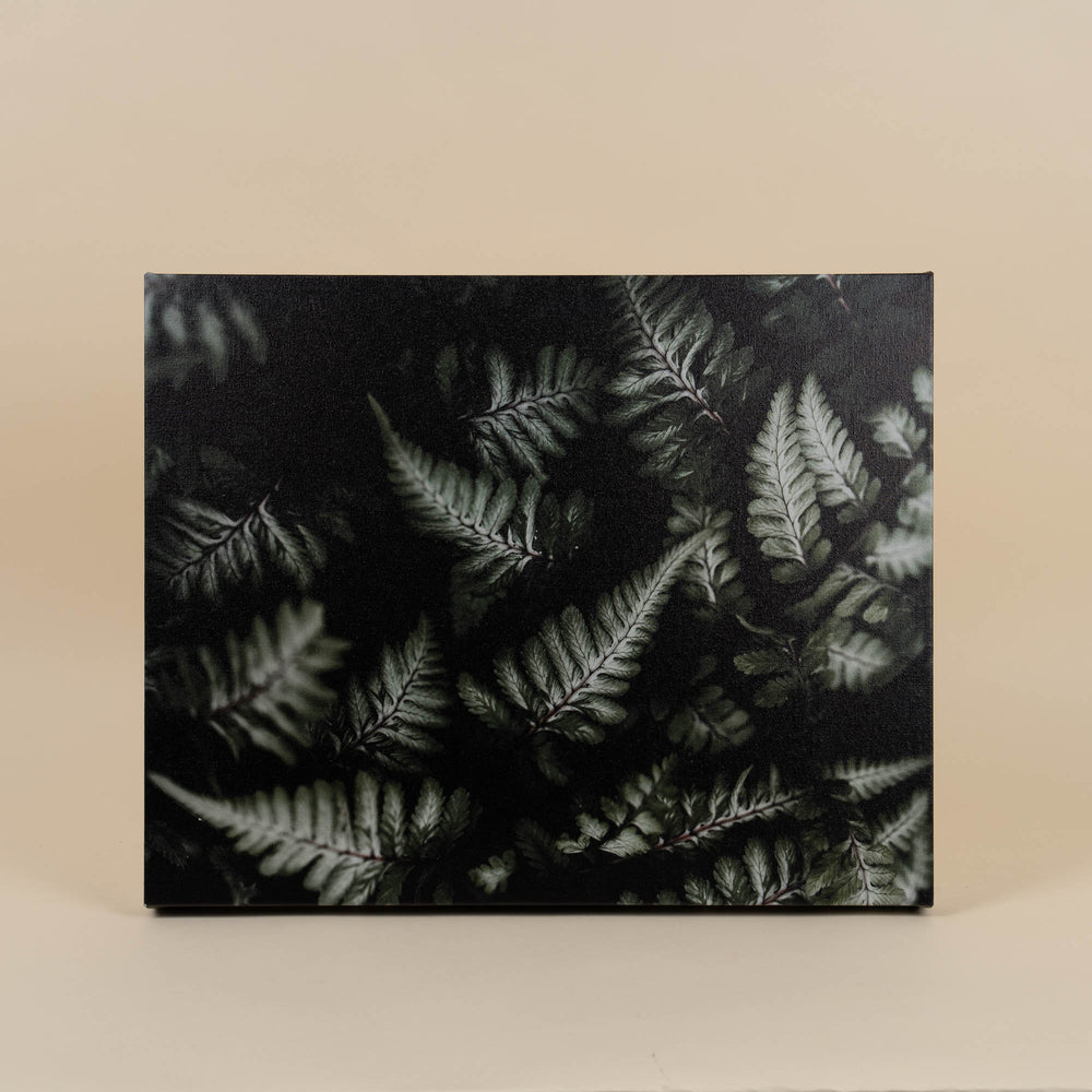 Feuilly 3 Canvas