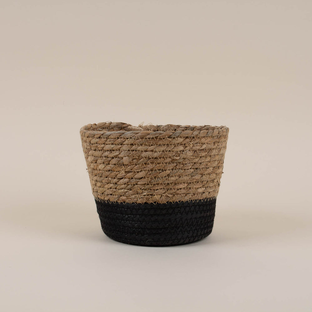 
                  
                    Aldis Basket - Small
                  
                
